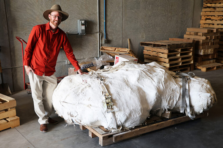 a palentologist in a red shirt poses with a dinosaur fossil encased in plaster